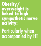 Obesity overweight is linked to high sympathetic nerve activity: Particularly when accompanied by HT