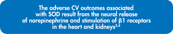 The adverse CV outcomes associated with SOD result from the neural release of norepinephrine and stimulation of  1 re   