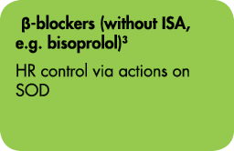  -blockers (without ISA, e g  bisoprolol)3 HR control via actions on SOD