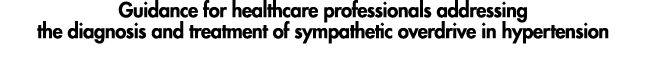 Guidance for healthcare professionals addressing the diagnosis and treatment of sympathetic overdrive in hypertension  