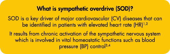 What is sympathetic overdrive (SOD)  SOD is a key driver of major cardiovascular (CV) diseases that can be identified   