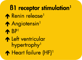  1 receptor stimulation1   Renin release1    Angiotensin1     BP1     Left ventricular hypertrophy1     Heart failure   